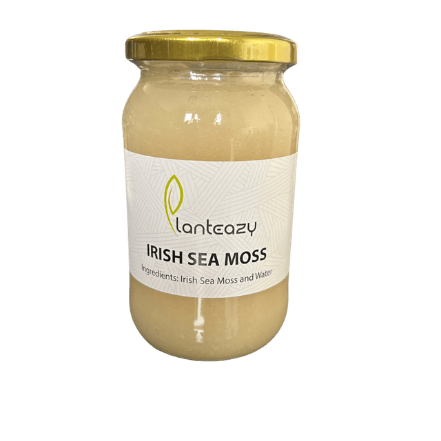 Irish moss plain